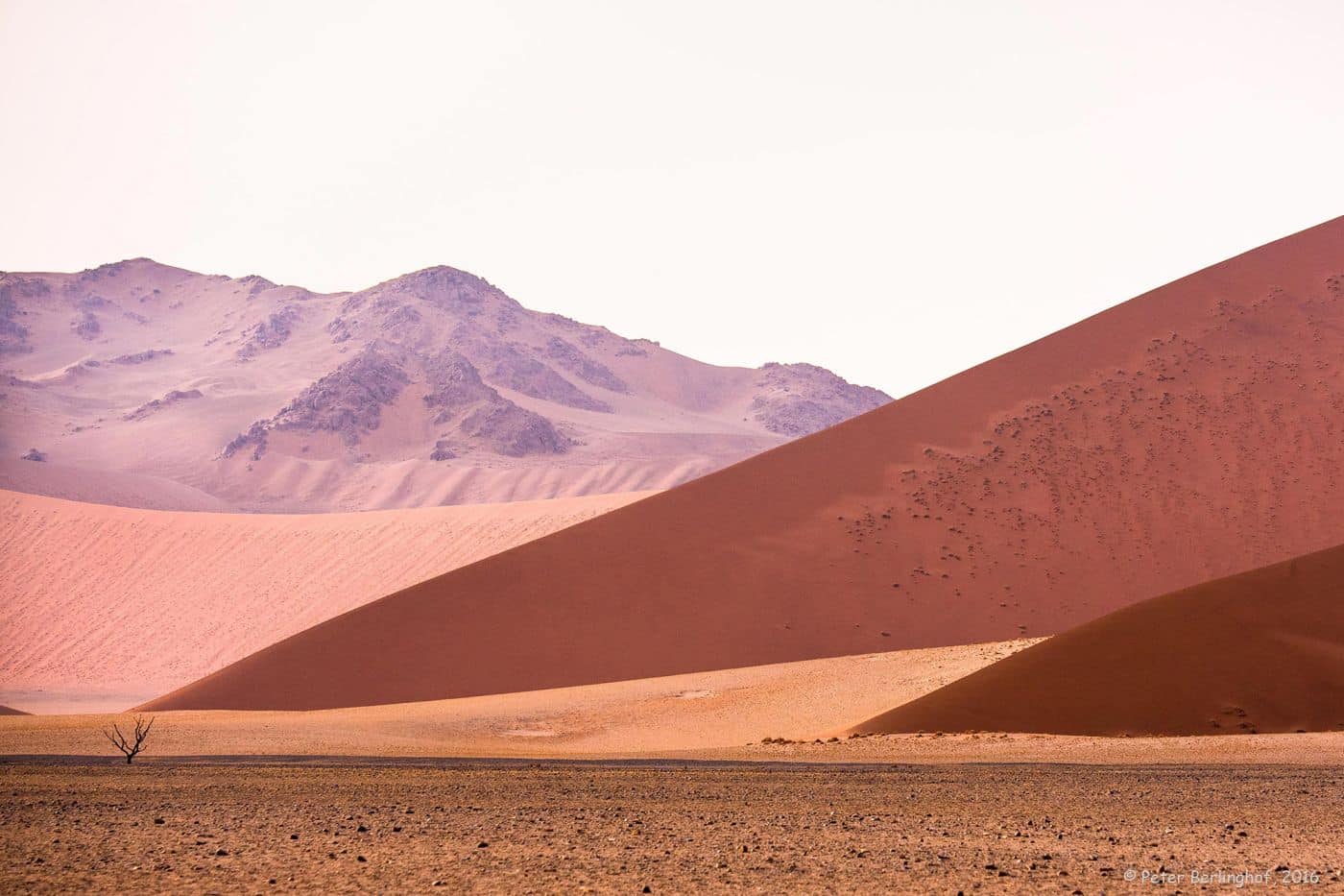 Formen in der Wüste - Peter Berlinghof