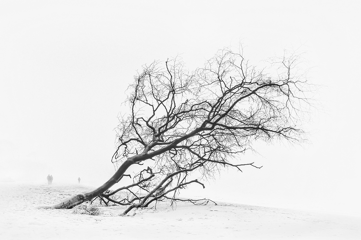 Nebel am Weststrand | © Sonja Molter