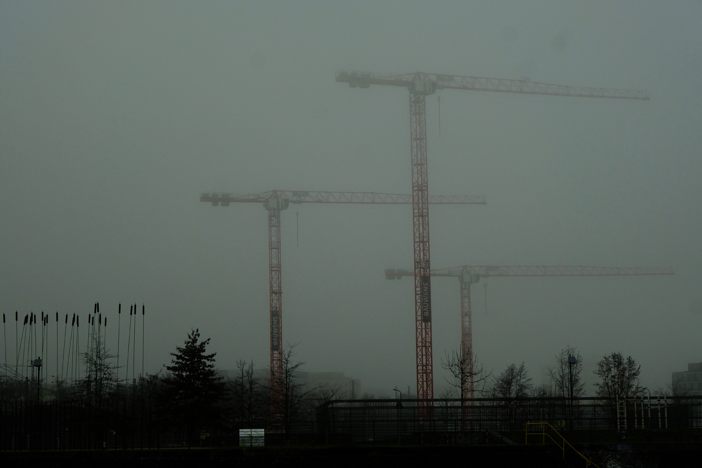 A foggy day 02  | © Günter Brombach