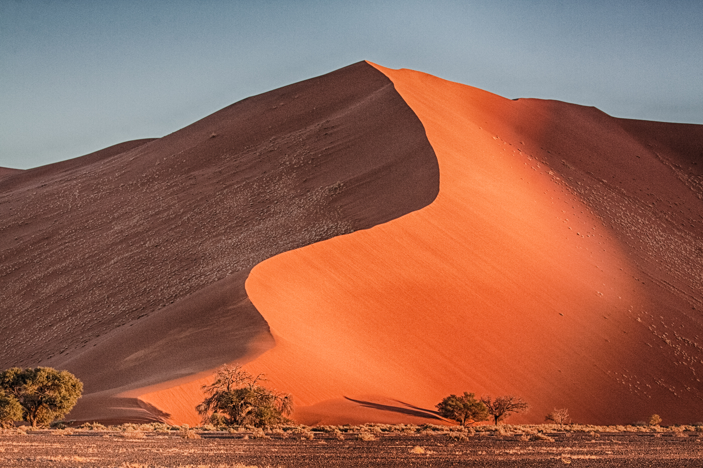 Red dune | © Harald Lydorf