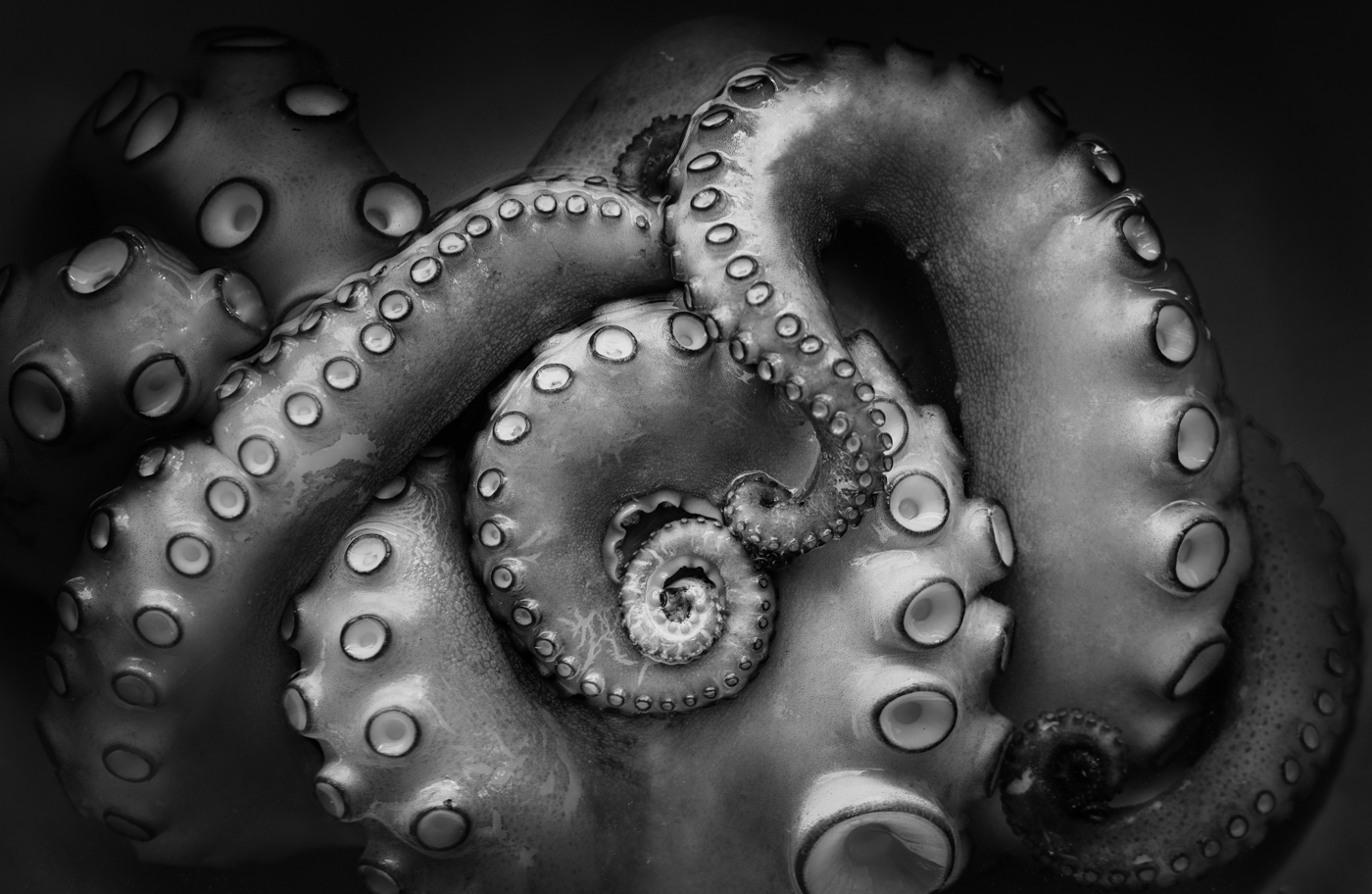 Oktopus 2 | © Irmgard Crispin (AFIAP)