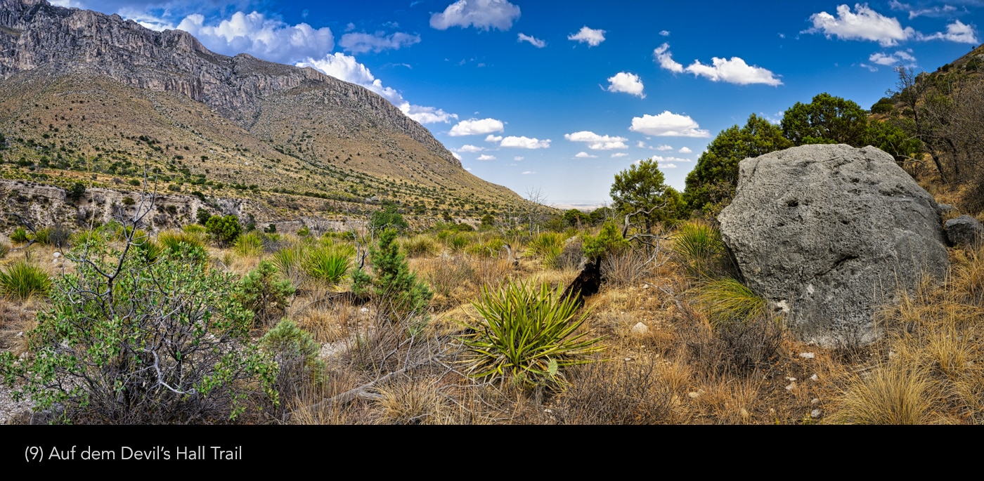 Guadalupe -Mountains 09 | © Peter Berlinghof