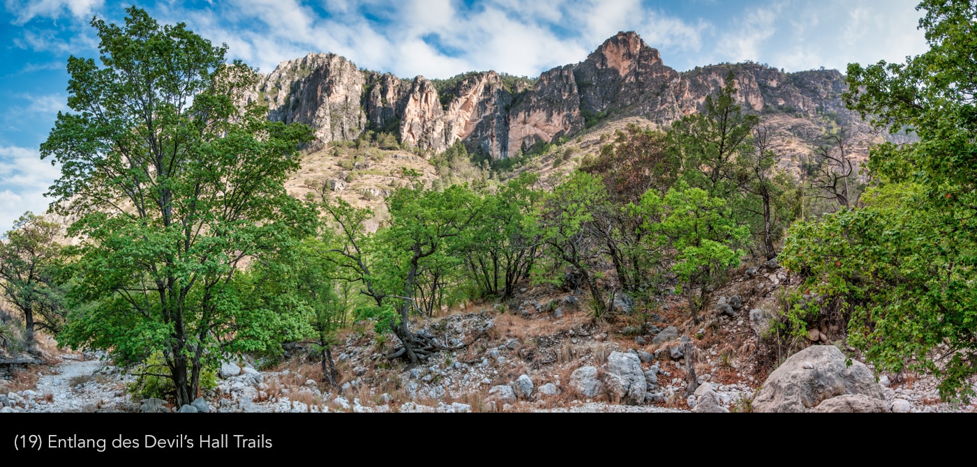Guadalupe -Mountains 19 | © Peter Berlinghof
