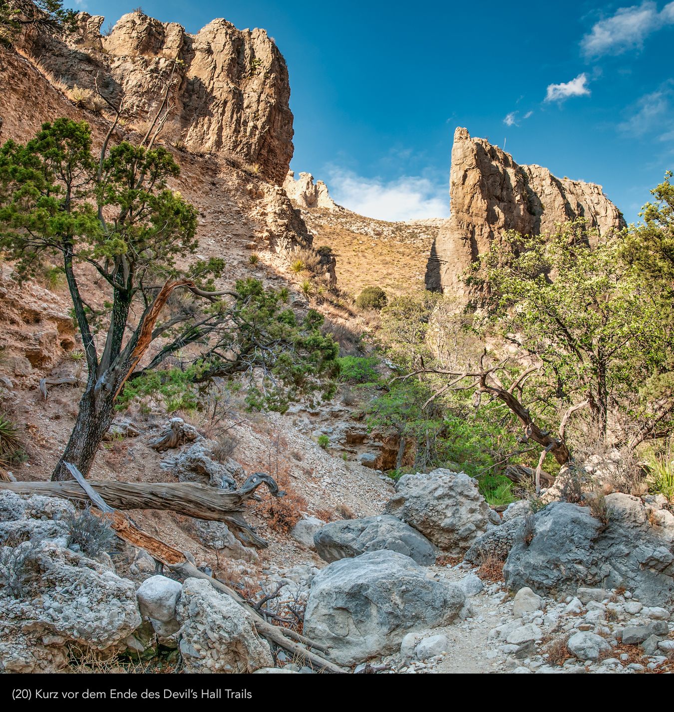 Guadalupe -Mountains 20 | © Peter Berlinghof