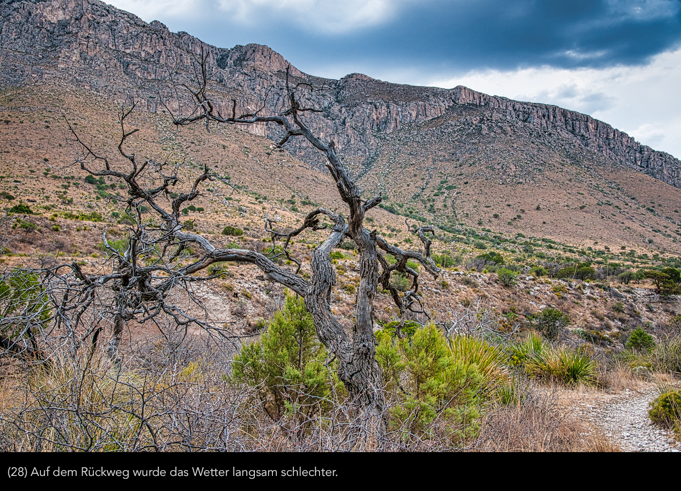 Guadalupe -Mountains 28 | © Peter Berlinghof