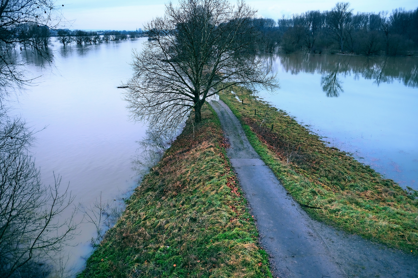 Hochwasser 2021 Rhein 08 | © Günter Brombach