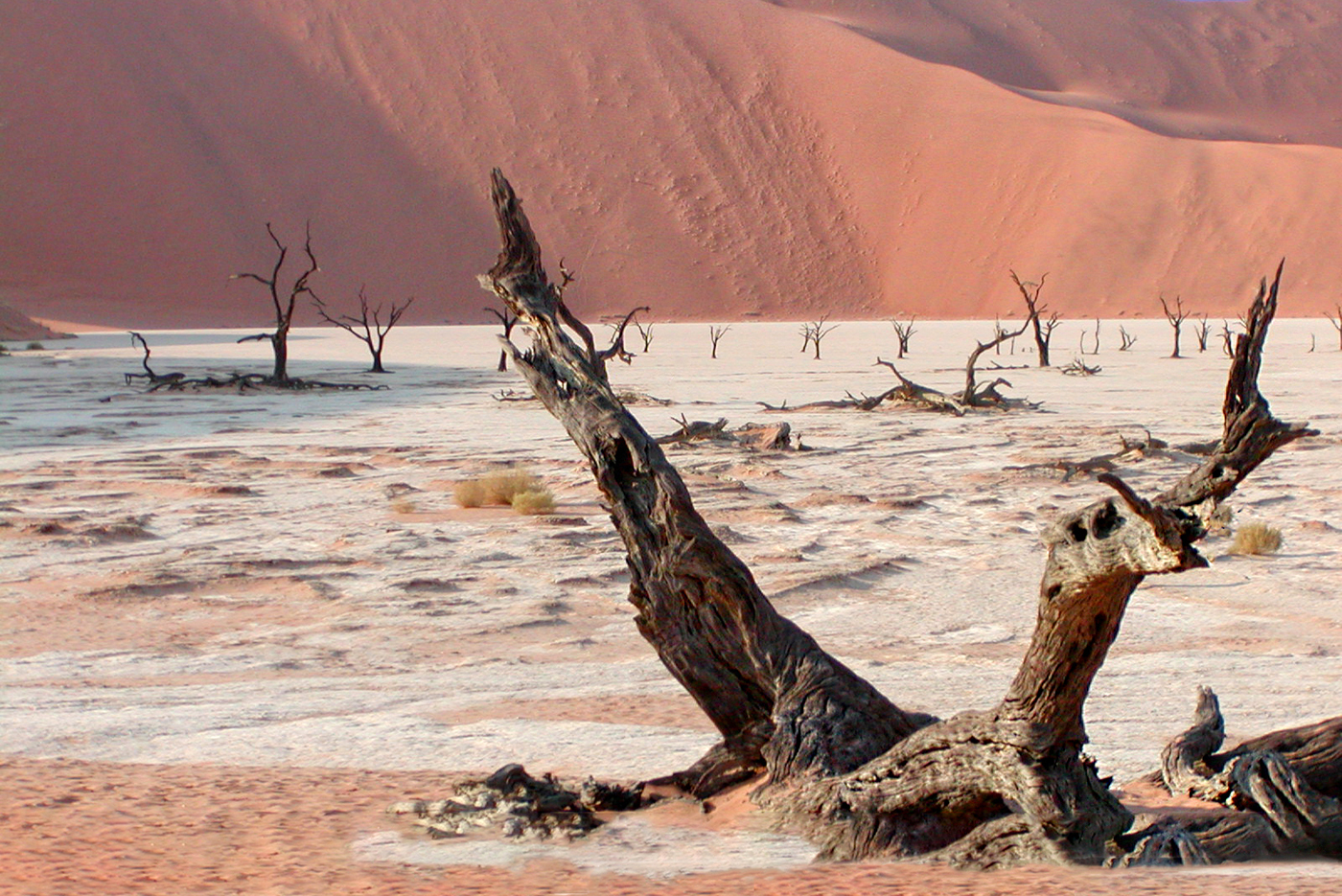 Dead Vlei Skulptur, Namibia | © Marianne Wogeck